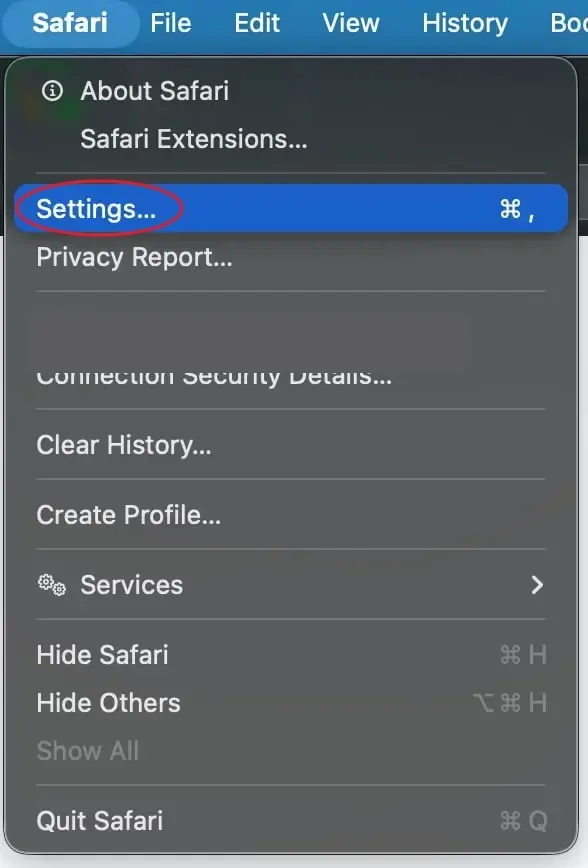 Open Safari settings