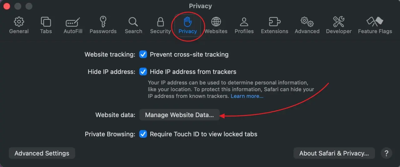 Open Manage Website Data in Safari