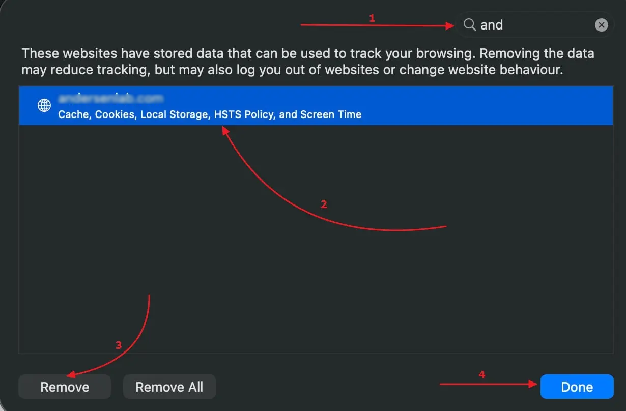 Find recruiter-ai.ru in Safari website data