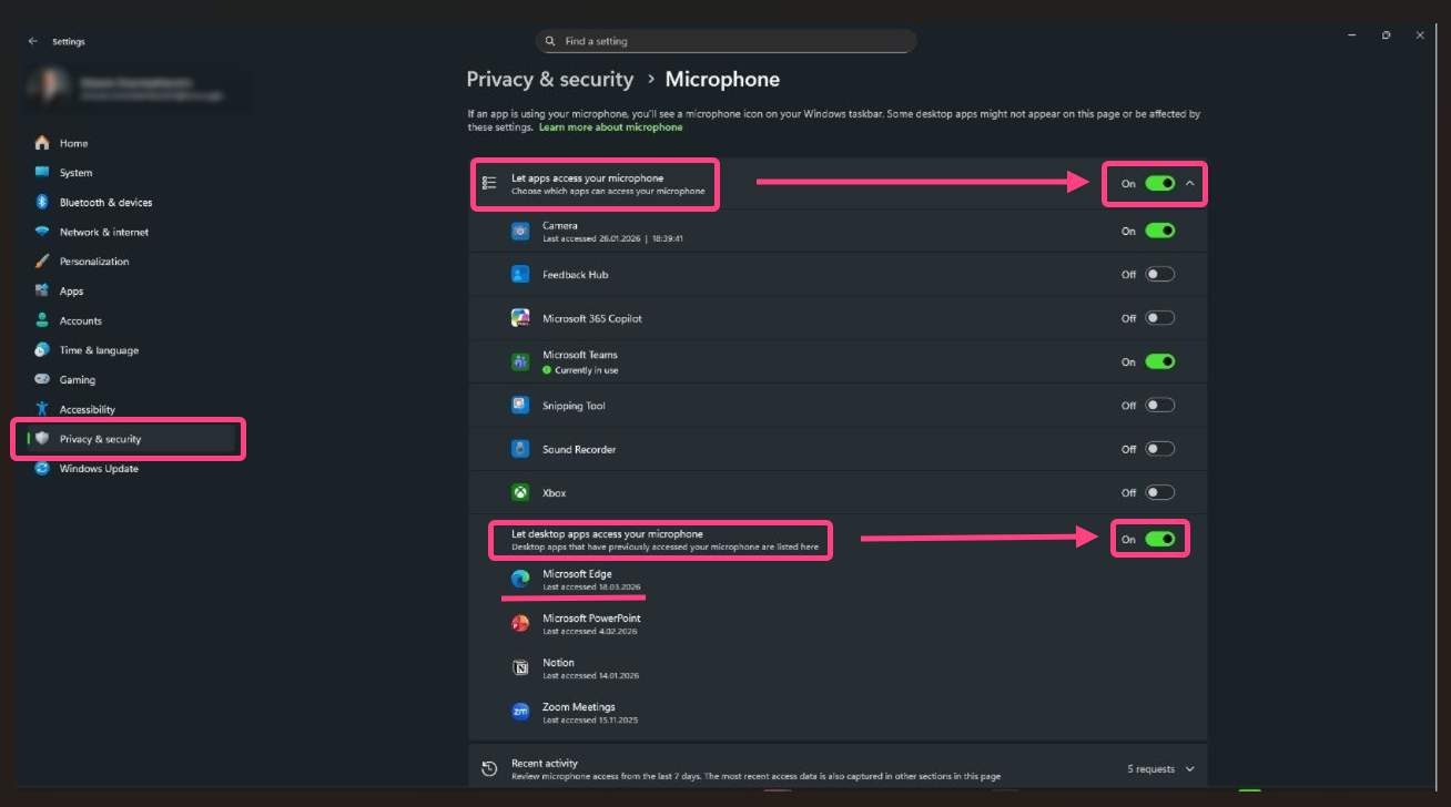 Windows 11: enable microphone access in privacy settings