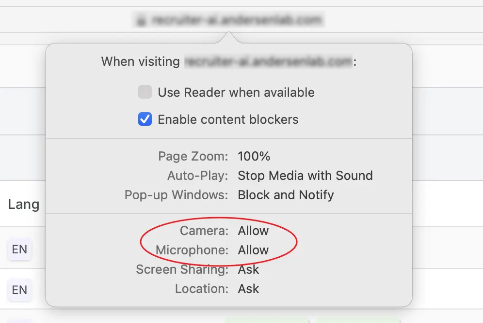 Safari: allow camera and microphone access for the site