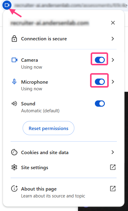 macOS: check enabled camera and microphone toggles